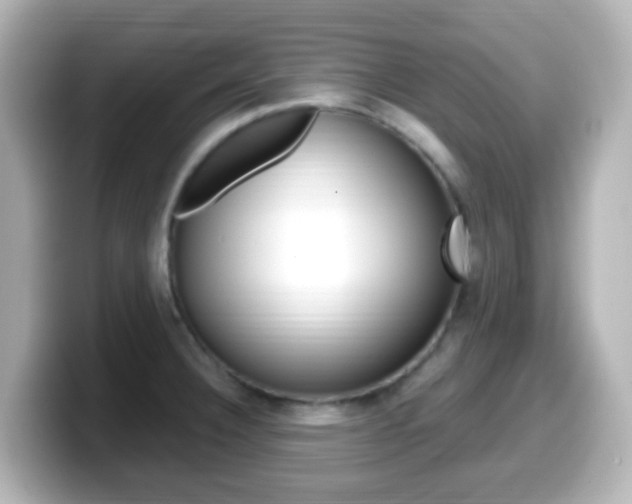 X0000099401332200805081233