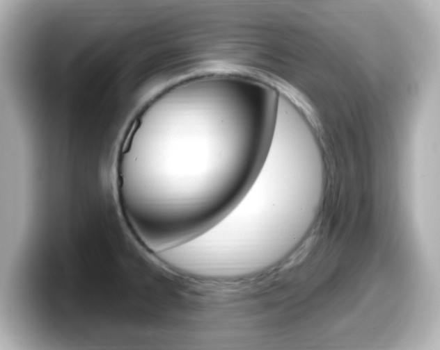 X0000099401334200805081233