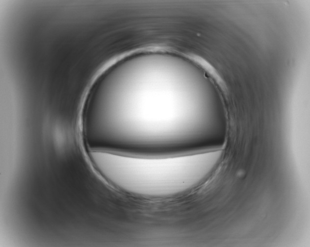 X0000099401335200805081233