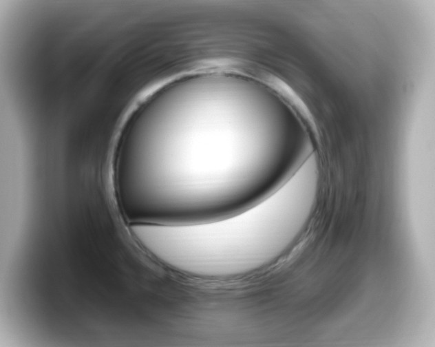 X0000099401336200805081233