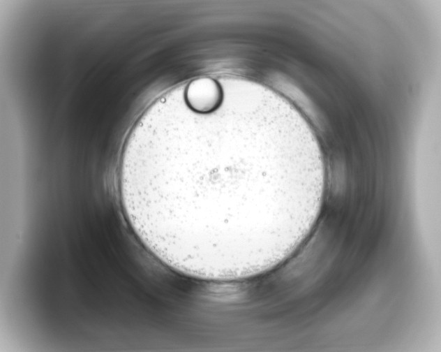X0000099401338200805081233