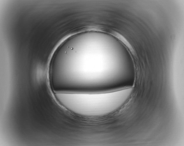 X0000099401339200805081233