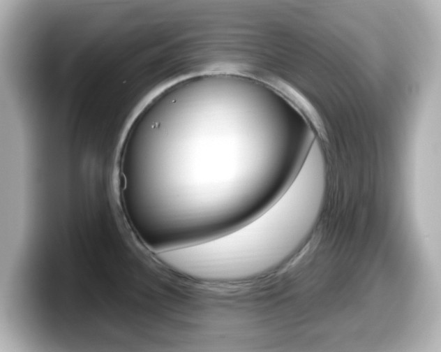 X0000099401340200805081233