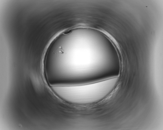 X0000099401341200805081233