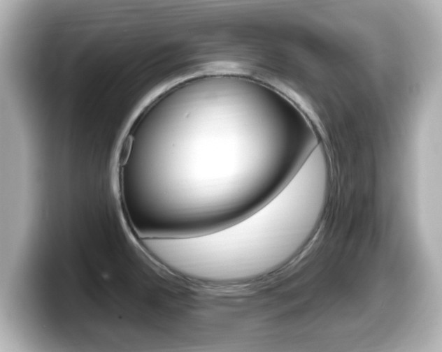 X0000099401342200805081233
