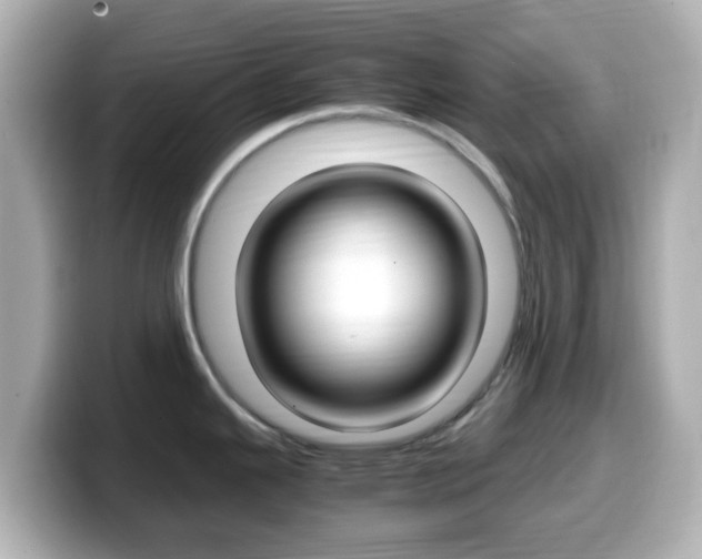 X0000099401343200805081233