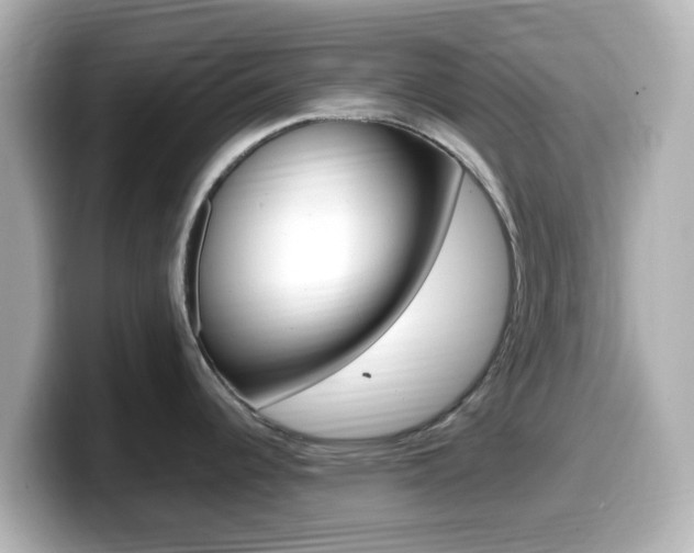 X0000099401344200805081233