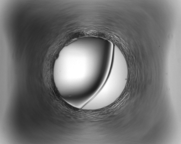 X0000099401345200805081233