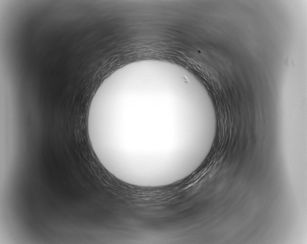 X0000099401346200805081233
