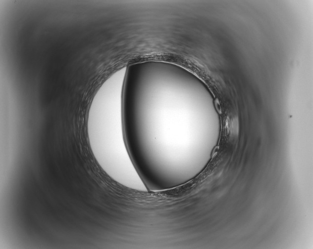 X0000099401348200805081233