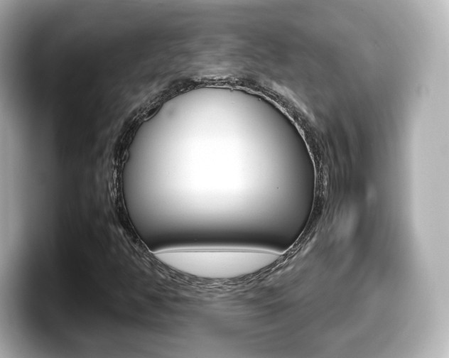 X0000099401350200805081233