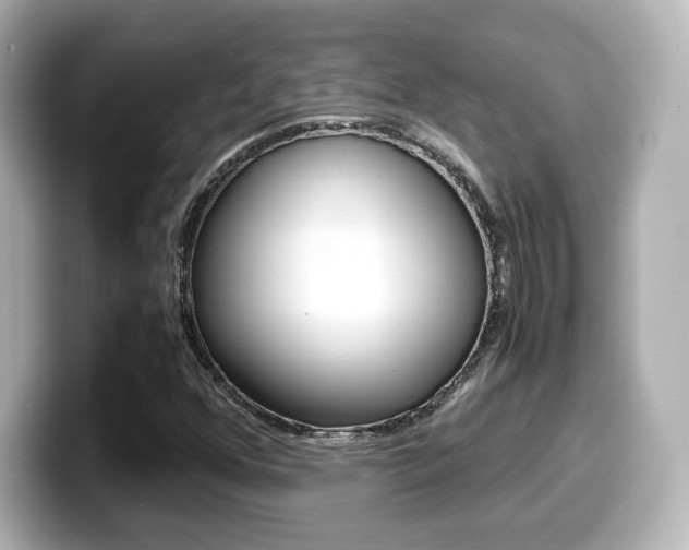 X0000099401352200805081233