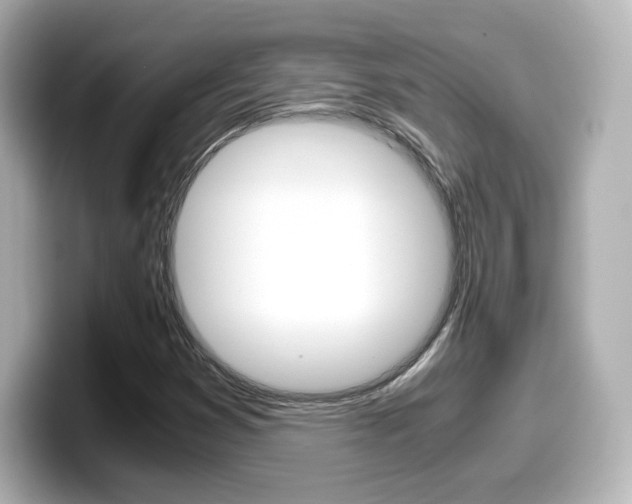 X0000099401353200805081233