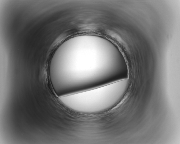 X0000099401354200805081233