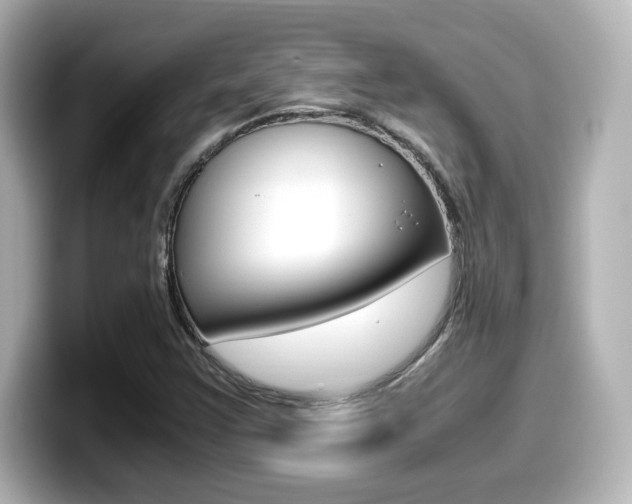 X0000099401355200805081233