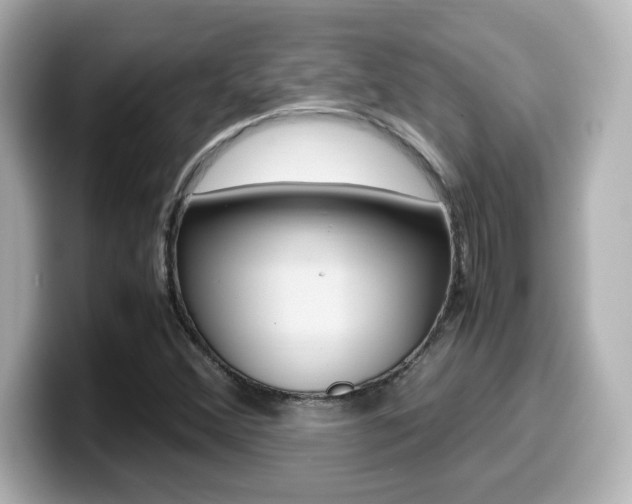 X0000099401356200805081233