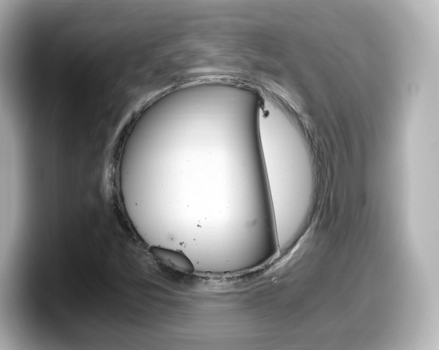 X0000099401357200805081233
