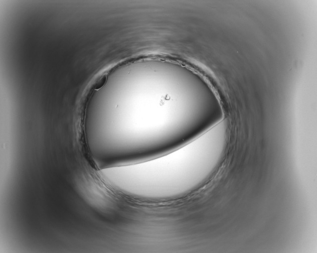 X0000099401359200805081233