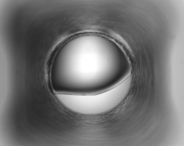 X0000099401360200805081233