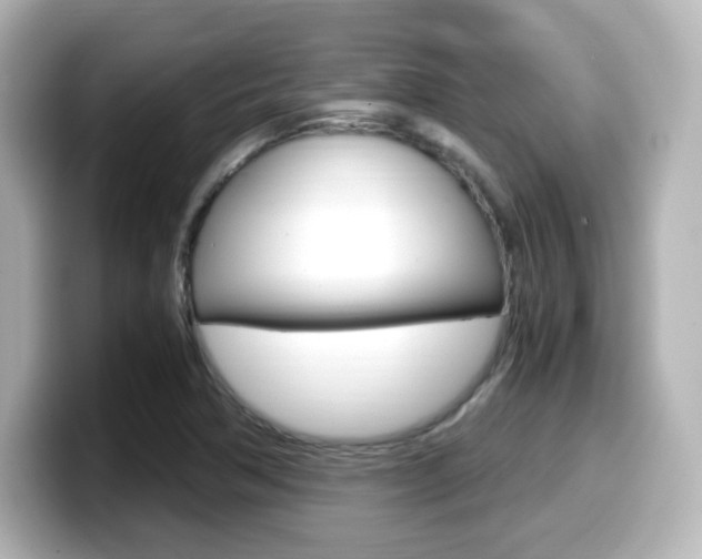 X0000099401362200805081233