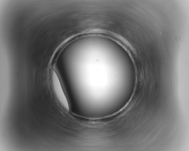 X0000099401364200805081233