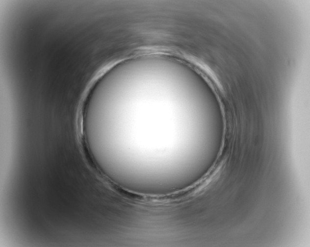 X0000099401365200805081233