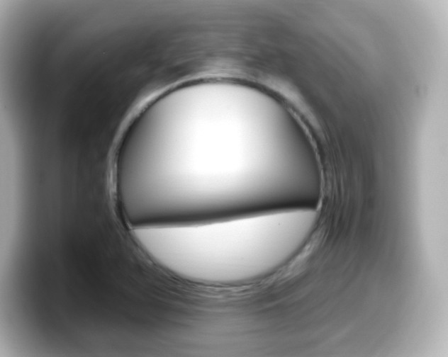 X0000099401366200805081233