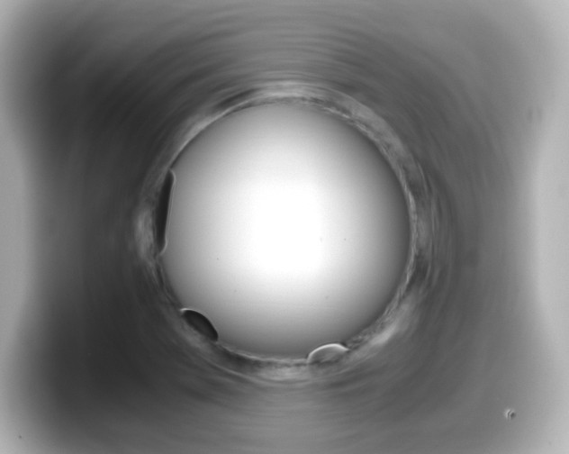 X0000099401369200805081232