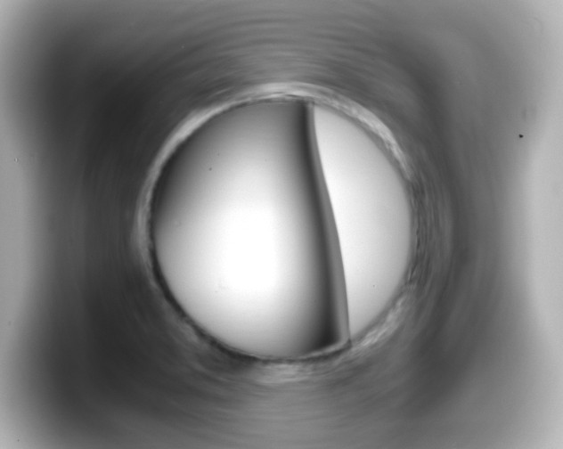 X0000099401373200805081232