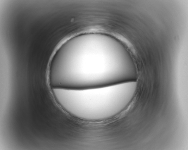 X0000099401374200805081232
