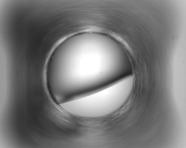 X0000099401375200805081232