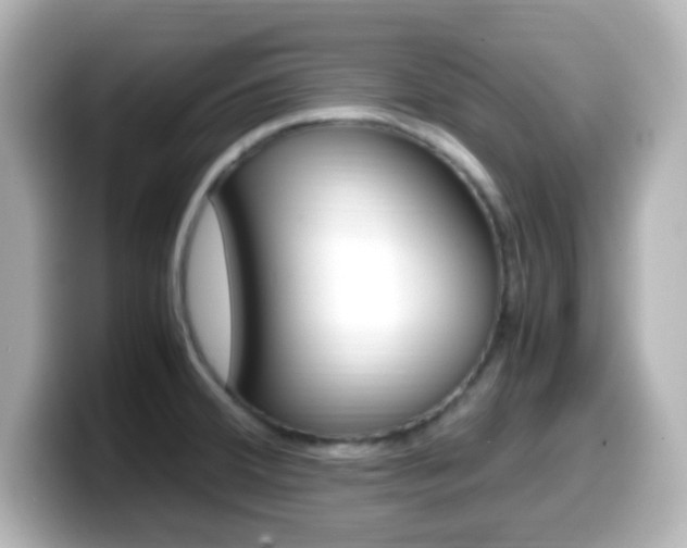 X0000099401380200805081232