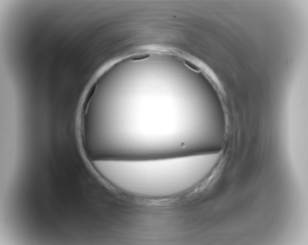X0000099401381200805081232