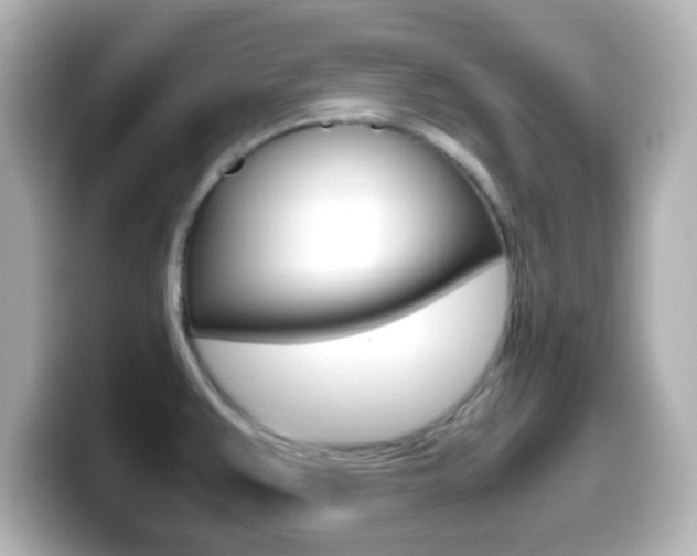 X0000099401383200805081232