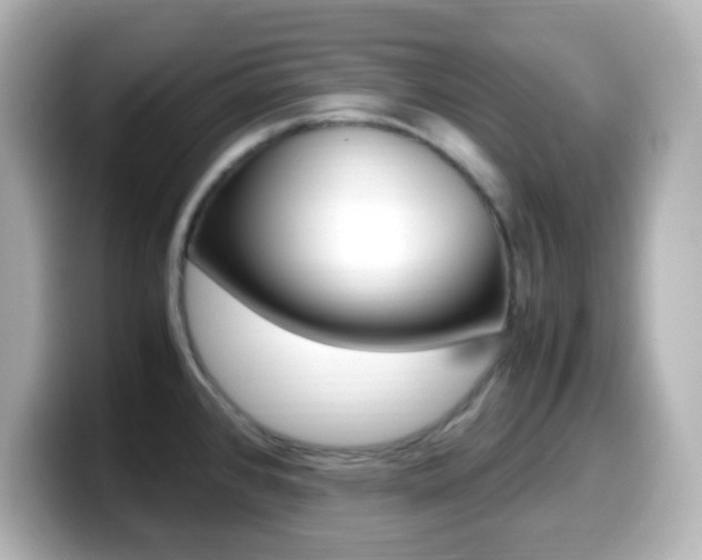 X0000099401384200805081232