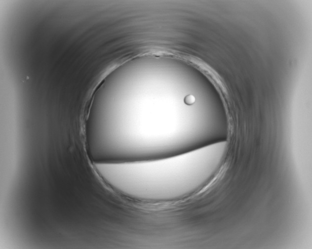 X0000099401385200805081232