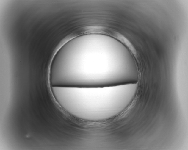 X0000099401386200805081232