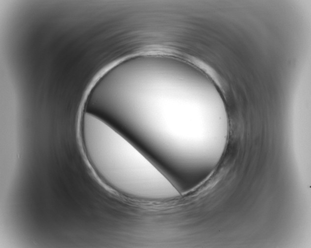 X0000099401387200805081232