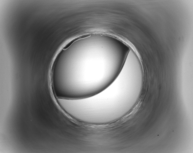 X0000099401389200805081232