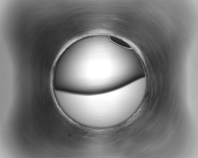 X0000099401390200805081232