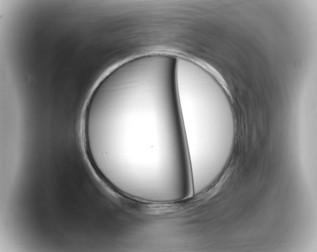 X0000099401391200805081232