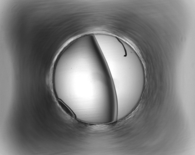 X0000099401392200805081232
