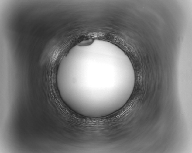 X0000099401393200805081232