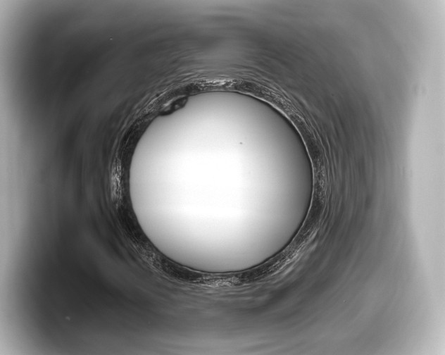X0000099401394200805081232