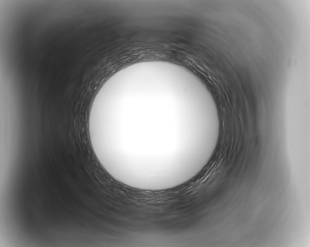 X0000099401395200805081232