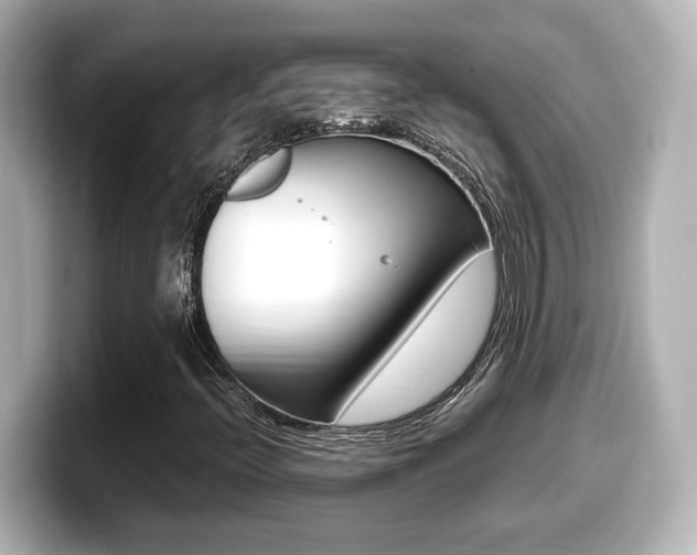 X0000099401396200805081232
