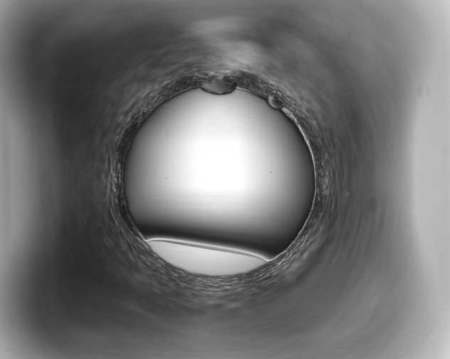 X0000099401397200805081232