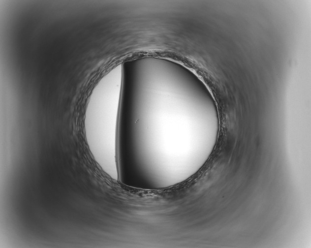 X0000099401398200805081232