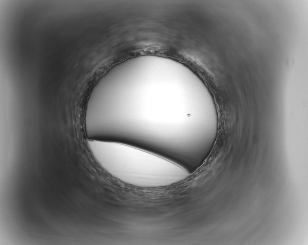 X0000099401399200805081232