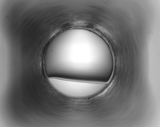 X0000099401401200805081232